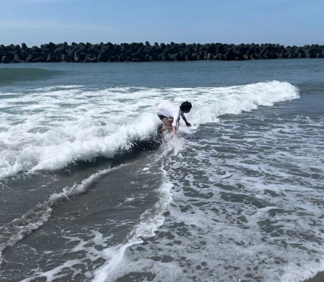 ウッド スキムボード RAMMBER SKIM BOARD / WOOD PRO MODEL/ランバー