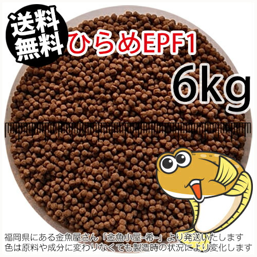 浮上性/日清丸紅飼料ひらめEPF1(2.0mm)6kg小分け品(★宅配便★※東北・北海道・沖縄は別途送料800円／金魚小屋-希-福岡／3日)