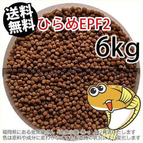 浮上性/日清丸紅飼料ひらめEPF2(2.5mm)6kg小分け品(★宅配便★※東北・北海道・沖縄は別途送料800円／金魚小屋-希-福岡／3日)