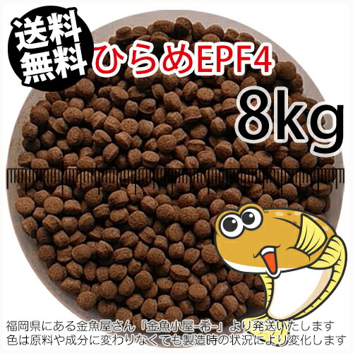 浮上性/日清丸紅飼料ひらめEPF4(4.6mm)8kg小分け品(★宅配便★※東北・北海道・沖縄は別途送料800円／金魚小屋-希-福岡／3日)
