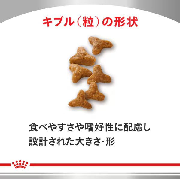ROYAL CANIN ロイヤルカナンロイヤルカナン 猫用 消化器サポート 可溶性繊維 [猫用 ドライフード 4kg 療法食]_2