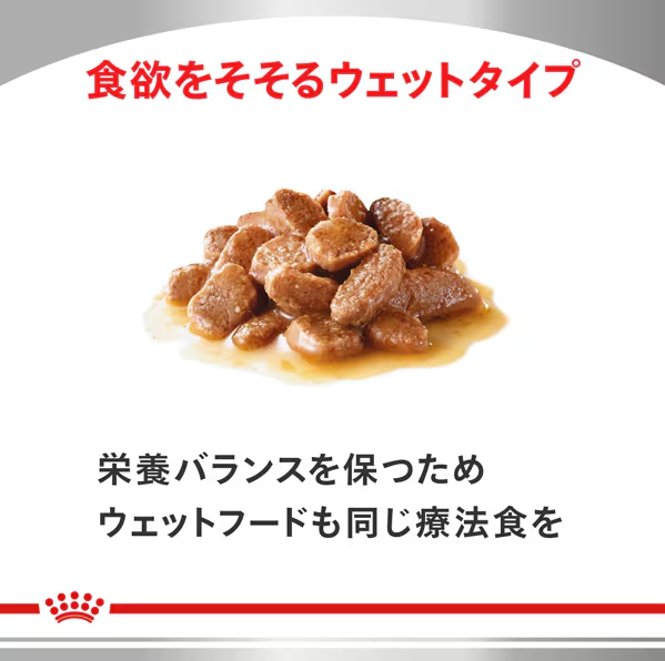 ROYAL CANIN ロイヤルカナンロイヤルカナン 猫用 消化器サポート 可溶性繊維 [猫用 ドライフード 4kg 療法食]_7