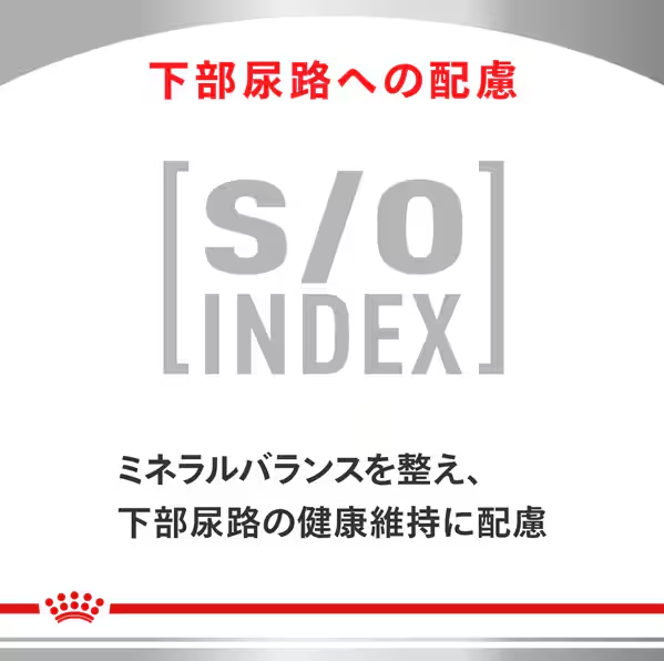 ROYAL CANIN ロイヤルカナンロイヤルカナン 猫用 消化器サポート 可溶性繊維 [猫用 ドライフード 4kg 療法食]_8