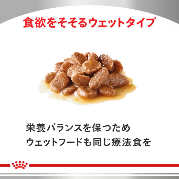 ROYAL CANIN ロイヤルカナンロイヤルカナン 猫用 ユリナリーS/O [猫用 ドライフード 4kg 療法食]_10