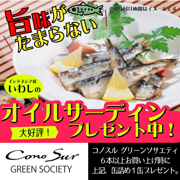 組み合わせ自由 コノスル グリーンソサエティ 12本セット 赤白ワインセット チリ 750ml 一部地域送料無料 おすすめ 初心者 シャルドネ カベルネ ソービニヨンブラン ピノノワール カルメネール おいしい おしゃれ ワンランク上 コノスルセット 飲み比べ 選べる