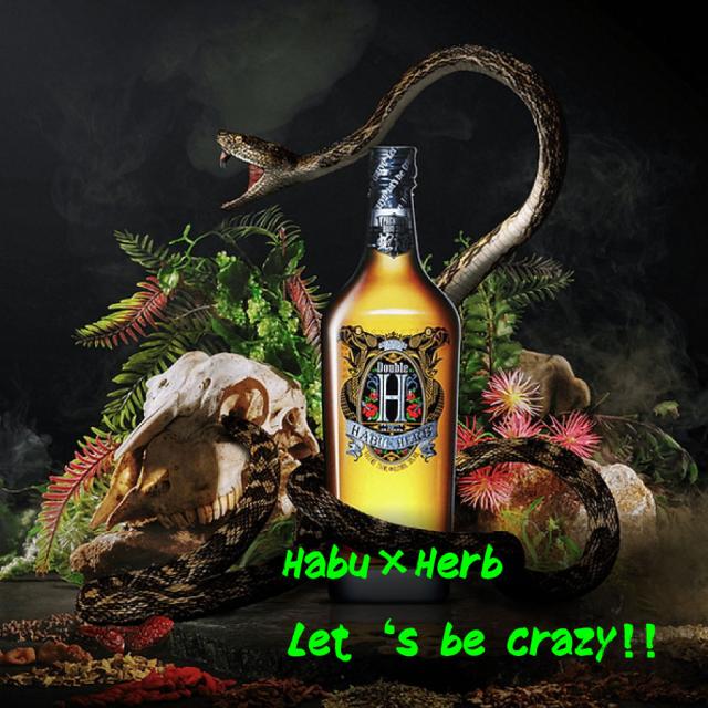 ハーブ系 リキュール Double H ハブ＆ハーブ 30度 750ml 6本セット 一部地域送料無料