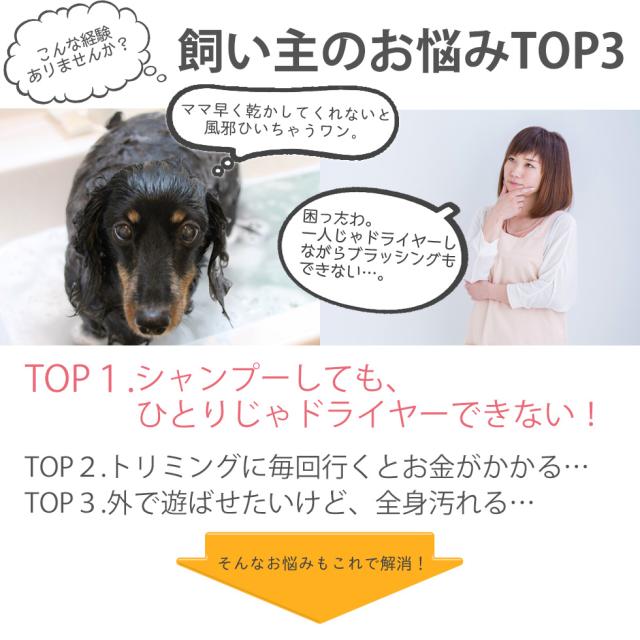 ペット用ドライヤー ペットドライヤー 家庭用 犬用 猫用 ペティオンスリム Petion Slim ペット用品 ドライヤー フリーハンドドライヤー ハンズフリードライヤー スタンド 小型犬 中型犬_2