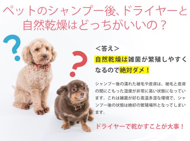 ペット用ドライヤー ペットドライヤー 家庭用 犬用 猫用 ペティオンスリム Petion Slim ペット用品 ドライヤー フリーハンドドライヤー ハンズフリードライヤー スタンド 小型犬 中型犬_4