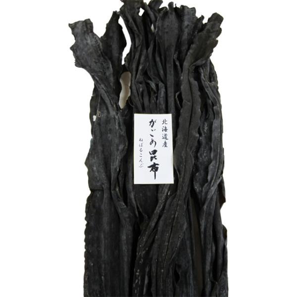 大阪昆布フジイ　こんぶ　がごめ昆布　1kg　業務用　メーカー直送 同梱不可 代引不可