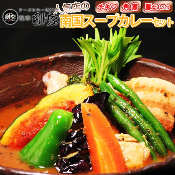 スープカレー 送料無料 剛家の南国スープカレー人気ランキング3食入×3セット 計9食 野菜付　メーカー直送 同梱不可代引不可