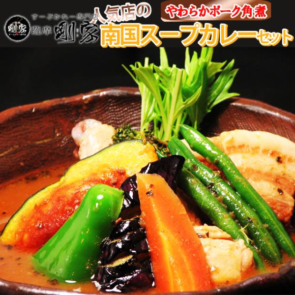 スープカレー 送料無料 剛家の南国スープカレーやわらかポーク角煮10食入 野菜付き　メーカー直送 同梱不可代引不可
