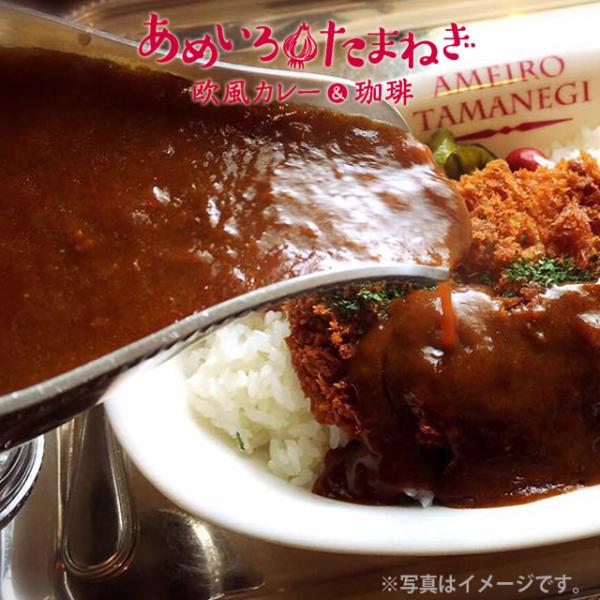 送料無料　剛家カレー　あめいろたまねぎ　本格カレールゥ　3人前×6パック　　メーカー直送　同梱不可代引不可