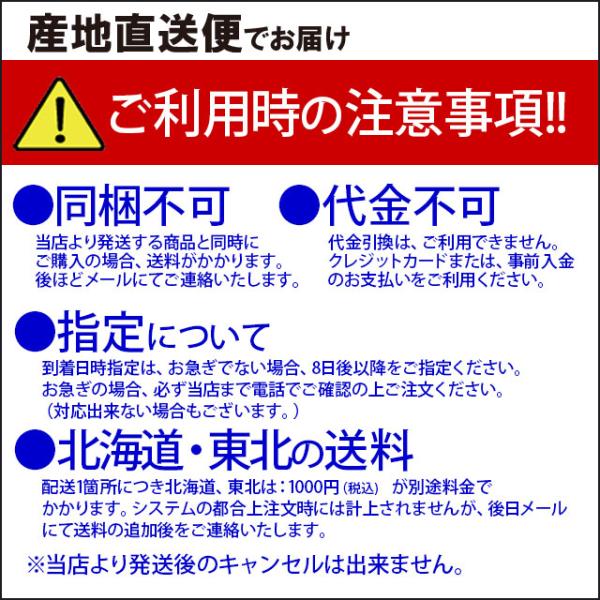 送料無料　剛家カレー　あめいろたまねぎ　本格カレールゥ　3人前×9パック　　メーカー直送　同梱不可代引不可_2