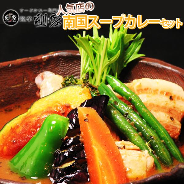 業務用 スープカレー 送料無料 剛家の南国スープカレー12食分 メイン入り野菜なし　メーカー直送 同梱不可代引不可