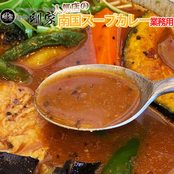 業務用 スープカレー 送料無料 剛家の南国スープカレー25食分 スープのみ　メーカー直送 同梱不可代引不可