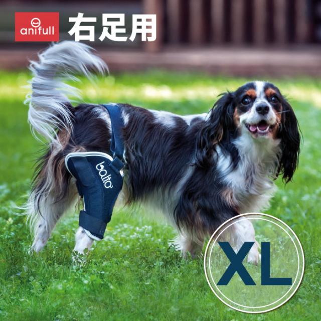 BT JUMP (膝サポーター) 右 XLサイズ 愛犬の膝のトラブルに 膝関節サポーター バルト 送料込 膝 膝関節 圧迫 制限 固定 パテラ 着脱簡単 膝蓋骨 脱臼 亜脱臼 犬用 大型犬