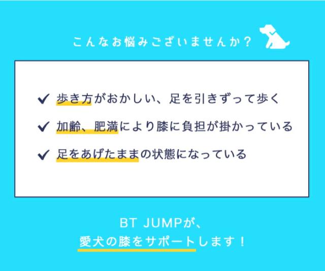 BT JUMP (膝サポーター) 右 XLサイズ 愛犬の膝のトラブルに 膝関節サポーター バルト 送料込 膝 膝関節 圧迫 制限 固定 パテラ 着脱簡単 膝蓋骨 脱臼 亜脱臼 犬用 大型犬_5