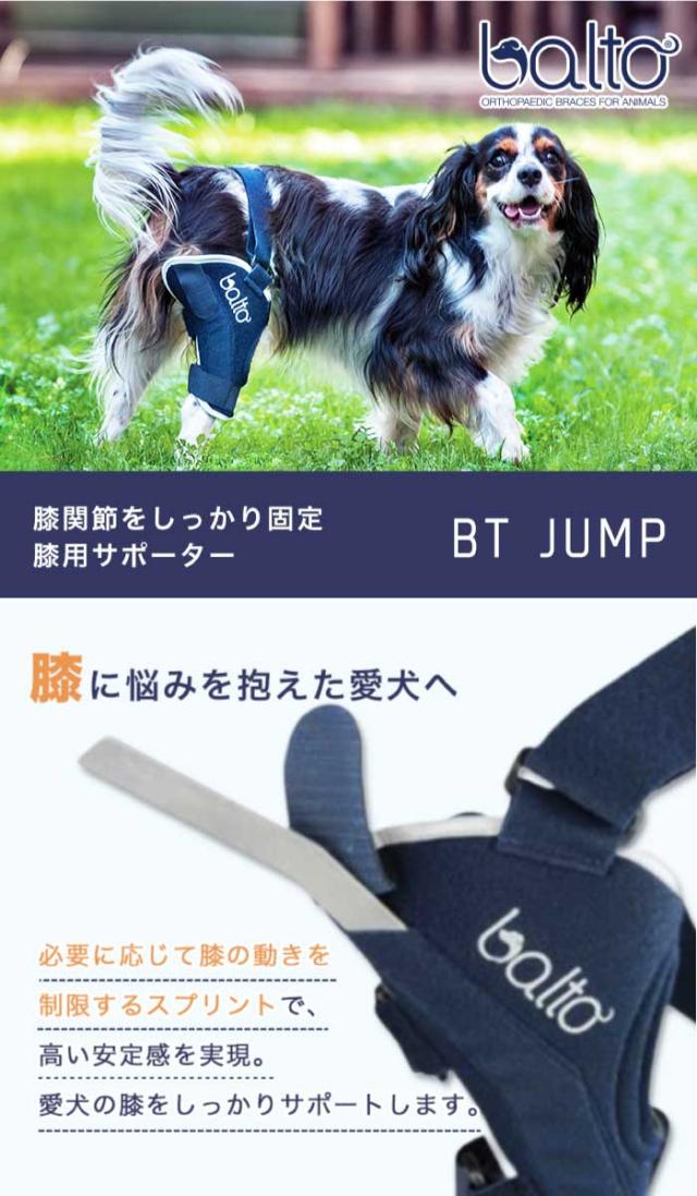 BT JUMP (膝サポーター) 右 XLサイズ 愛犬の膝のトラブルに 膝関節サポーター バルト 送料込 膝 膝関節 圧迫 制限 固定 パテラ 着脱簡単 膝蓋骨 脱臼 亜脱臼 犬用 大型犬_1