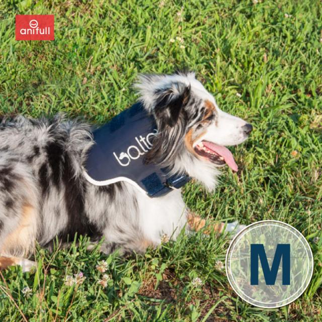 BT NECK (首サポーター)Mサイズ 頸椎サポーター 送料込 犬用品 犬用 犬 小型犬 首 頸椎 サポーター 固定 制限 首コルセット コルセット 犬用首サポーター 犬用首コルセット 犬用コルセット 首の痛み M