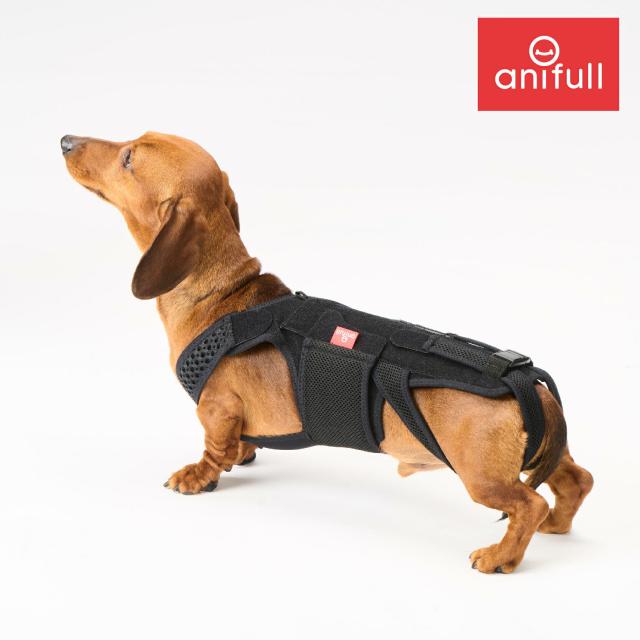 【anifull 公式】 わんコル With Mサイズ アニフル ダイヤ工業 日本製  犬用 犬用コルセット わんコルWith コルセット 犬 術後 介護 腰 安静 固定 制限 歩行補助 補助 介護 ハードタイプ ハード 腰椎 腰骨 背骨 M 送料込