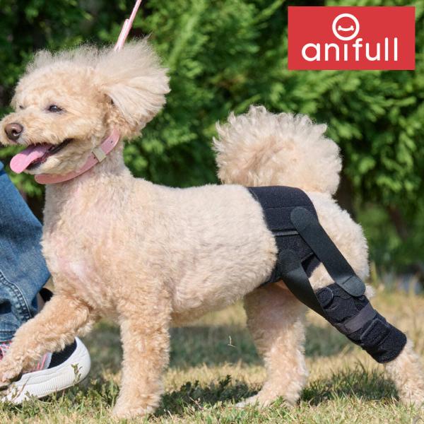 【anifull 公式】 アニサポ パテラン 左 XSサイズ 小型犬向け アニフル ダイヤ工業 日本製 犬用 サポーター 膝 膝蓋骨 パテラ 左 XS