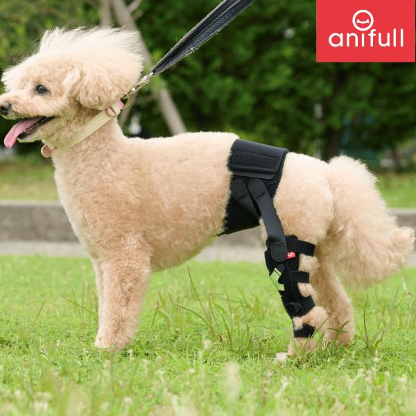 【anifull 公式】 アニサポ ニー 左 L アニフル ダイヤ工業 日本製 犬 犬用サポーター 犬用膝サポーター 制限 膝 前十字靭帯 Lサイズ 16,060円