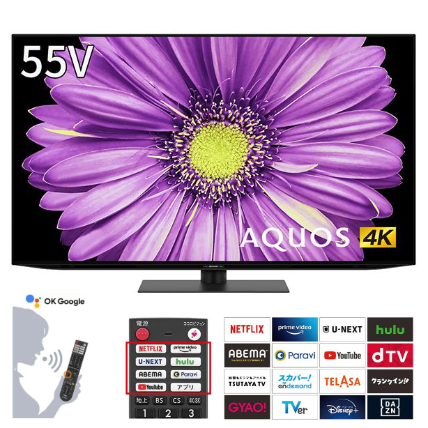 シャープ 有機ELテレビ 55インチ 55型 4T-C55DQ2 AQUOS OLED 8畳におすすめ 多彩なネット動画サービス対応