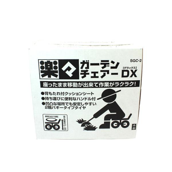 藤原産業 千吉 ガーデンチェアーDX SGC-2 お取り寄せ_1