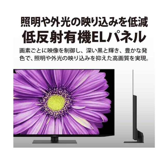 シャープ 有機ELテレビ 55インチ 55型 4T-C55DQ2 AQUOS OLED 8畳におすすめ 多彩なネット動画サービス対応_3