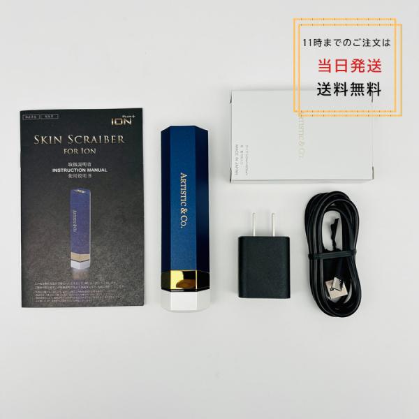 国内正規品 ARTISTIC&CO ION イオン導入導出美顔器 スキンスクライバー 