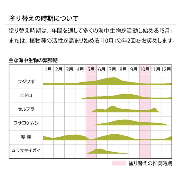 船底塗料 シージェット033 中国塗料 自己研磨型 船底防汚塗料 2L 黒 白 青 赤_5
