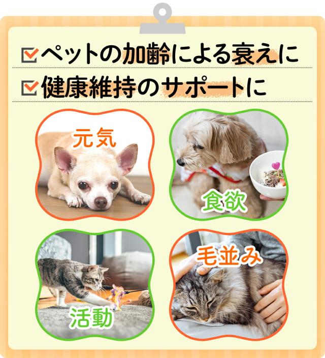 ポイント10％！ JBPET プラセンタサプリ EQパウダー for dog &amp; cat 2箱セット 30粒×2 動物病院流通品 犬用 猫用 おやつ 関節 被毛 元気 活動 食欲 毛艶 毛並 健康を維持 老犬 老猫 サプリメント 免疫力_6