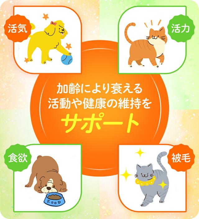 ポイント10％！ JBPET プラセンタサプリ EQパウダー for dog &amp; cat 2箱セット 30粒×2 動物病院流通品 犬用 猫用 おやつ 関節 被毛 元気 活動 食欲 毛艶 毛並 健康を維持 老犬 老猫 サプリメント 免疫力_8