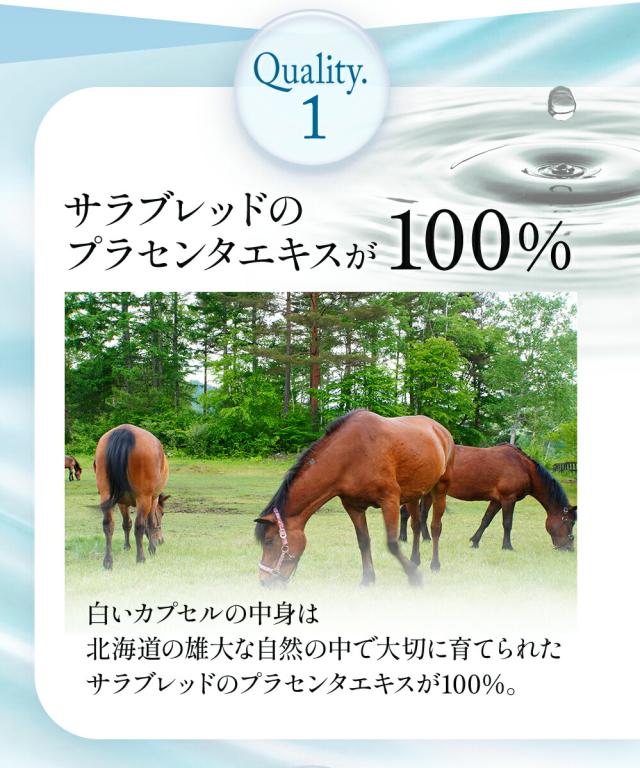 JBPプラセンタEQカプセル 約30日分 250mg×90粒 送料無料 医療機関 プラセンタ プラセンタ純末100％ ラエンネック製法 サプリメント 100％ プラセンタエキスのみ 国産 美容サプリ ゆらぎ世代 ほてり サラブレッド ウマ プラセンタ_7