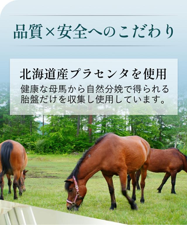 JBPプラセンタEQカプセル 約30日分 250mg×90粒 送料無料 医療機関 プラセンタ プラセンタ純末100％ ラエンネック製法 サプリメント 100％ プラセンタエキスのみ 国産 美容サプリ ゆらぎ世代 ほてり サラブレッド ウマ プラセンタ_14