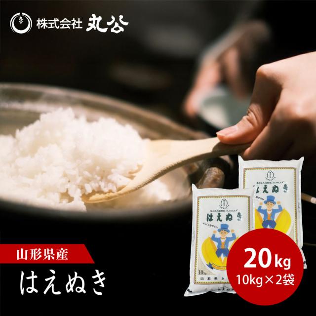 令和7年産 はえぬき 20kg 10kg×2袋 お米 白米 山形県産 送料無料