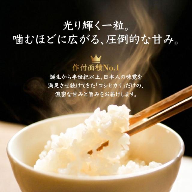 令和7年産 コシヒカリ 20kg 10kg×2袋 お米 白米 山形県産 送料無料_3