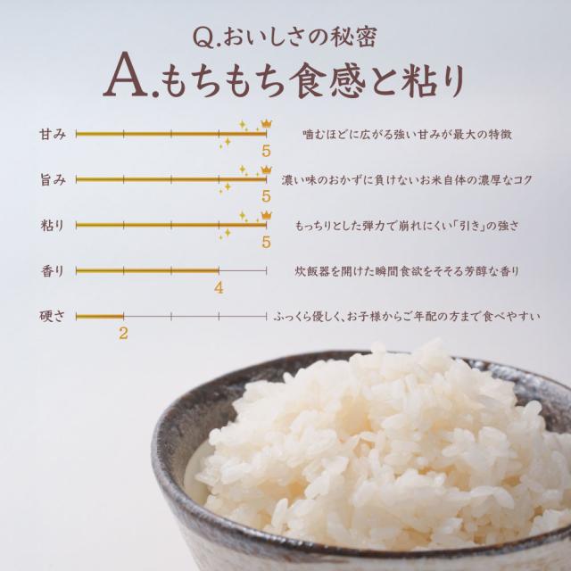 令和7年産 コシヒカリ 20kg 10kg×2袋 お米 白米 山形県産 送料無料_4