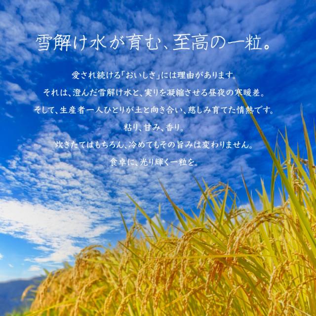令和7年産 コシヒカリ 20kg 10kg×2袋 お米 白米 山形県産 送料無料_5