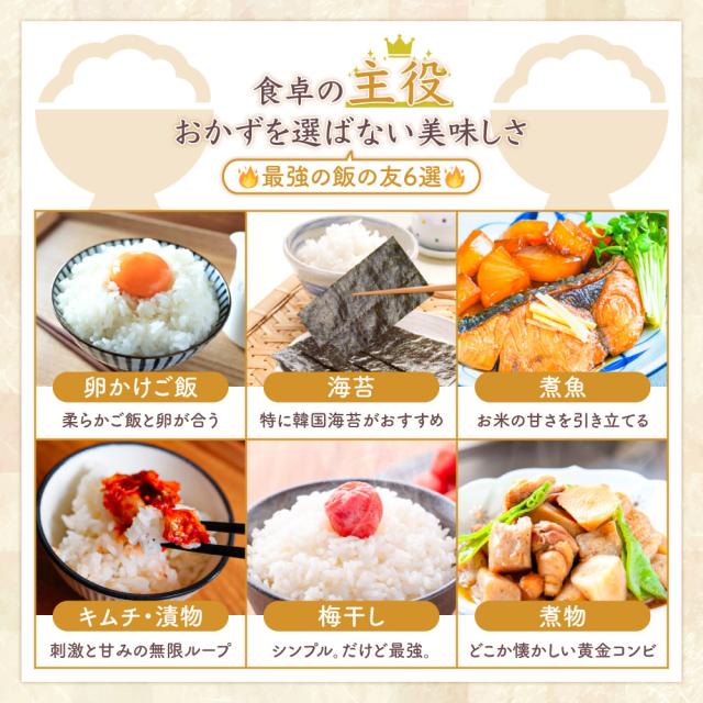 令和7年産 コシヒカリ 20kg 10kg×2袋 お米 白米 山形県産 送料無料_6
