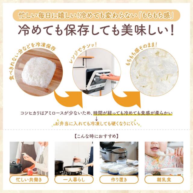 令和7年産 コシヒカリ 20kg 10kg×2袋 お米 白米 山形県産 送料無料_7