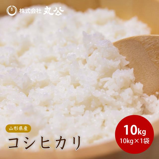 令和7年産 コシヒカリ 10kg 10kg×1袋 お米 白米 山形県産 送料無料