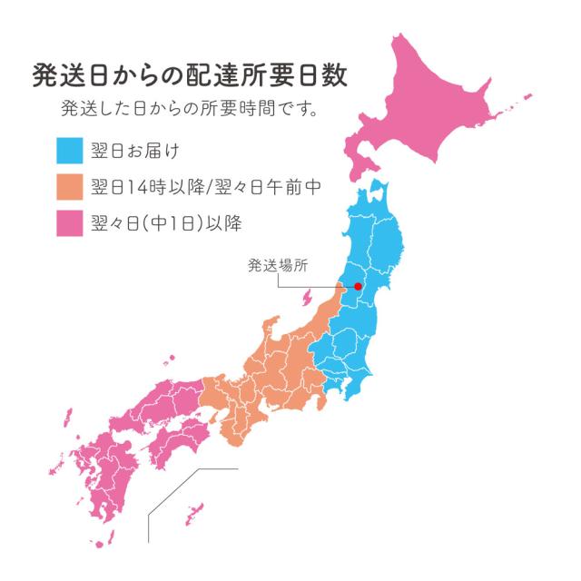 令和7年産 コシヒカリ 20kg 10kg×2袋 お米 白米 山形県産 送料無料_13