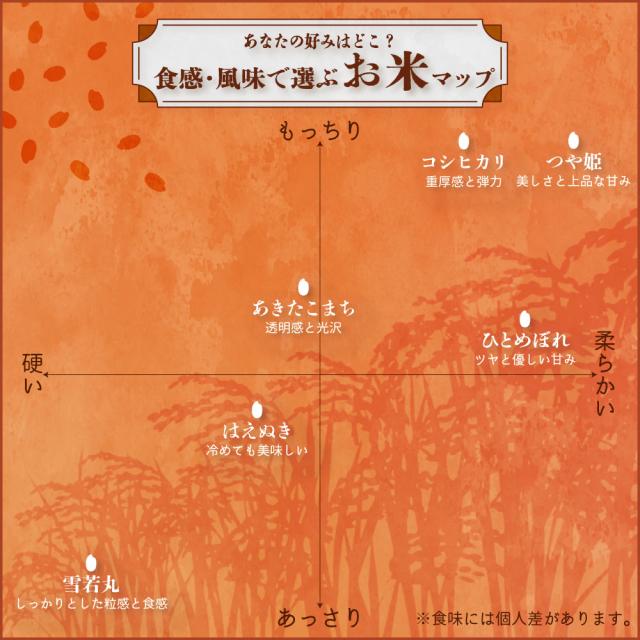 令和7年産 コシヒカリ 20kg 10kg×2袋 お米 白米 山形県産 送料無料_12