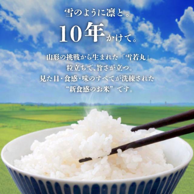 令和7年産 雪若丸 10kg 5kg×2袋 お米 白米 山形県産 送料無料の通販は 