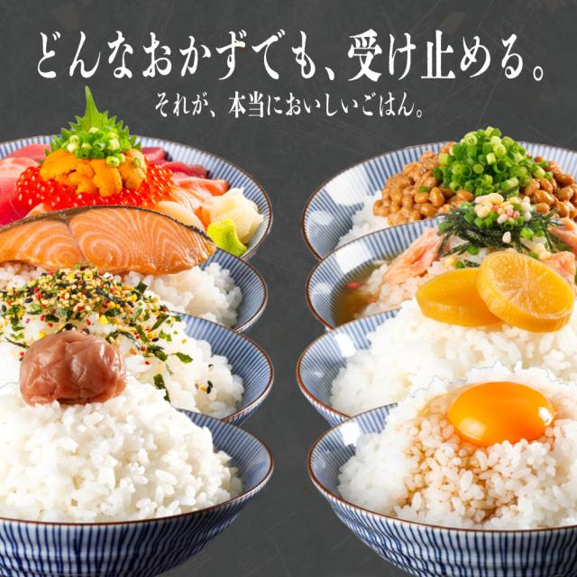 令和7年産 雪若丸 10kg 5kg×2袋 お米 白米 山形県産 送料無料の通販は 