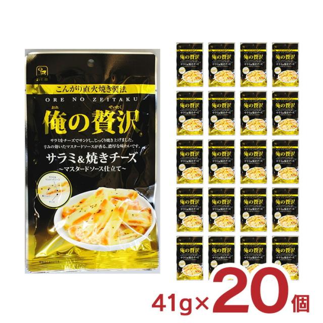 おつまみ サラミ チーズ カモ井食品 俺の贅沢 サラミ＆焼きチーズ 41g 20個 カモ井 ワイン 珍味 お菓子 つまみ 送料無料