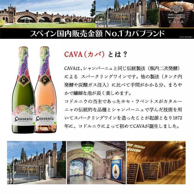 カヴァ コドルニウ バルセロナ1872 ブリュット 750ml 12本 まとめ買い スパークリング ワイン 白ワイン 泡 スペイン カバ 送料無料