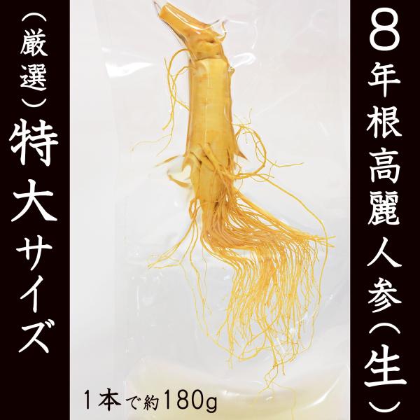 8年根高麗人参(生) 1本 特大サイズ （厳選） お料理用 薬膳酒用 長白山産 野生環境露地栽培 大変貴重な特大サイズの8年根朝鮮人参（姿）たんぽぽ本舗