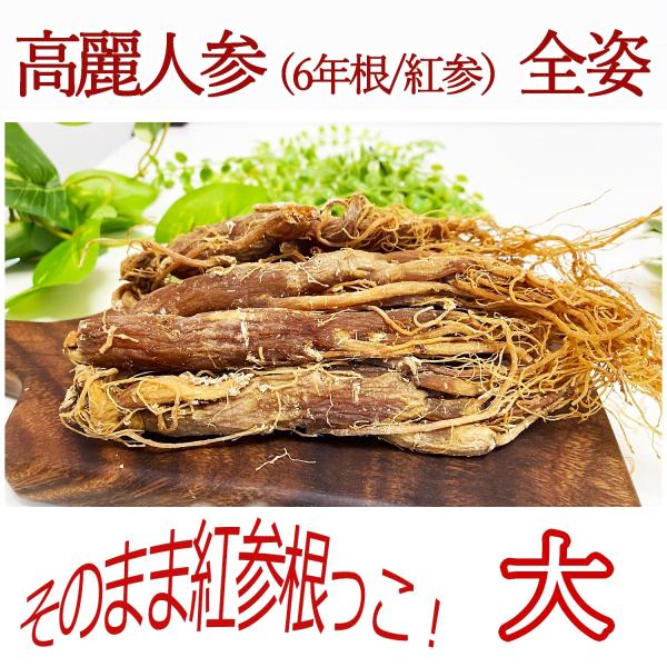 6年根紅参 姿 (大)245g (約7本) 高麗人参 オタネニンジン 薬膳酒 高麗人参酒 朝鮮人参